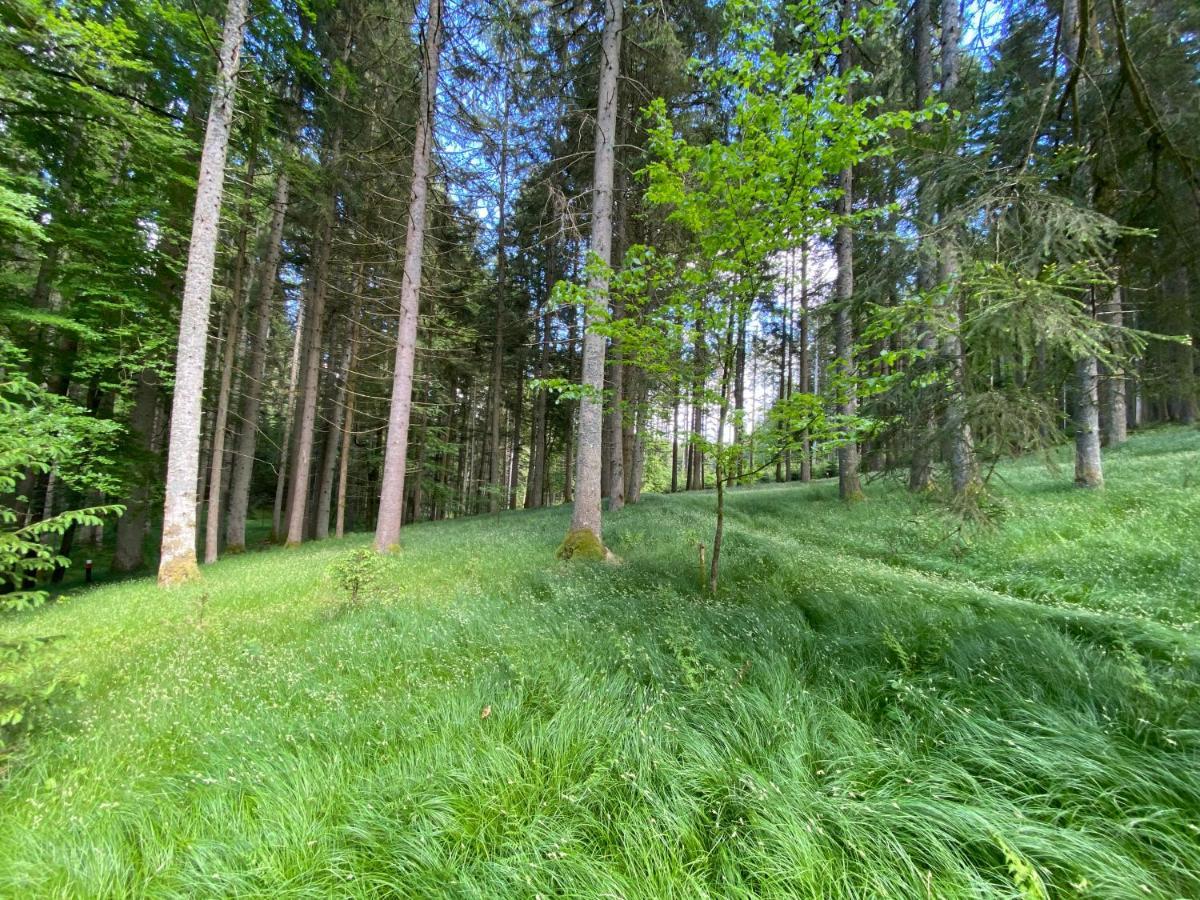 Ferienhaus Plattenstein Kirchberg  Zewnętrze zdjęcie