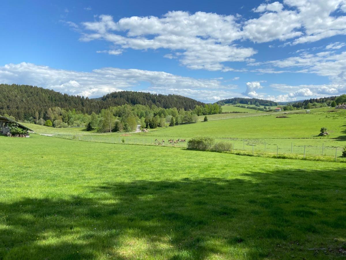 Ferienhaus Plattenstein Kirchberg  Zewnętrze zdjęcie
